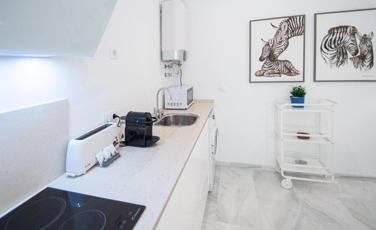 Apartamento Animalia Cádiz Eksteriør billede